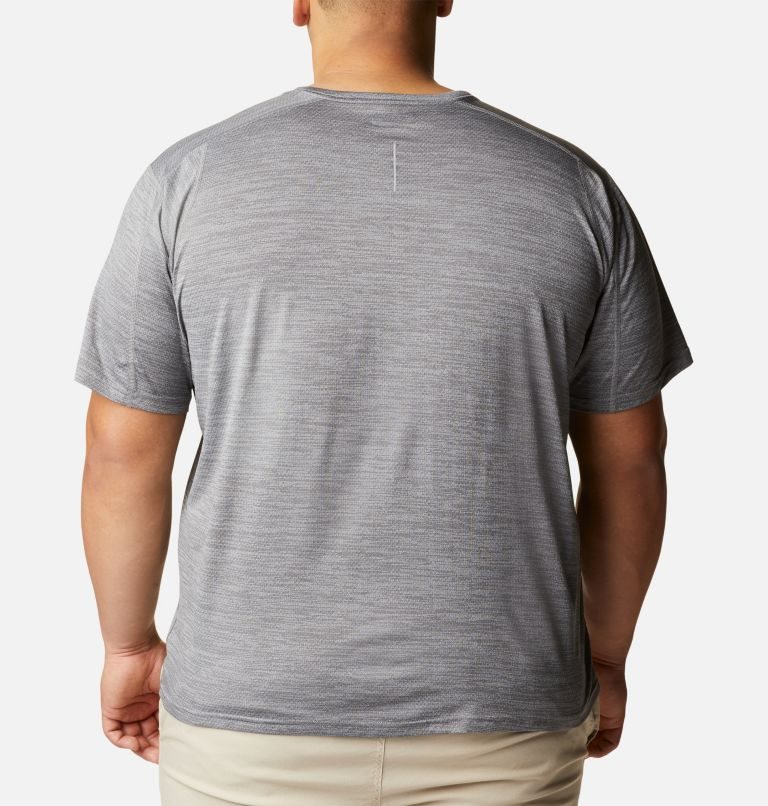 Men's Columbia Alpine Chill Zero Short Sleeve Crew T Shirts Grey | Plus Size CA-W36CA